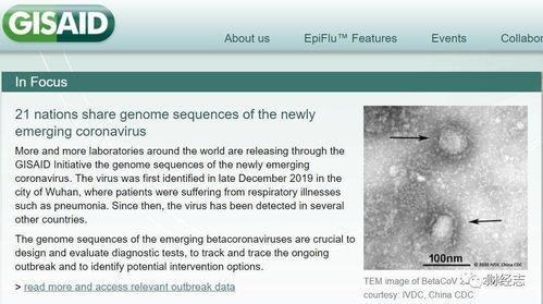 美国病毒最新爆料,揭秘疫情背后的惊人真相！