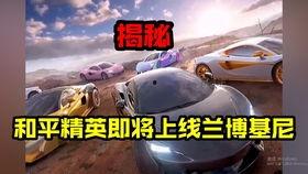 和平精英新转盘最新爆料,惊喜福利来袭，玩家狂欢不止！