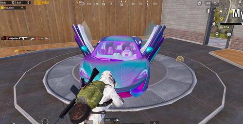 双人跑车皮肤最新爆料,揭秘最新双人跑车皮肤惊艳亮相